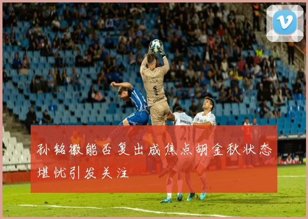 孙铭徽能否复出成焦点胡金秋状态堪忧引发关注
